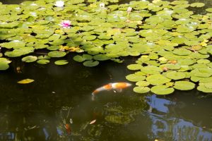 img 7732