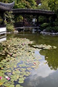 img 7742