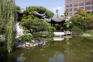 img 7745