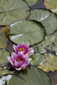 img 7747
