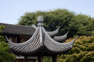 img 7755
