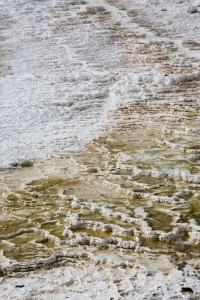 Mammoth Hot Springs