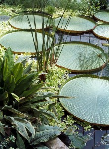 Kew Gardens, London, UK