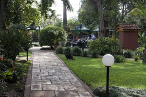 Africa - 2011