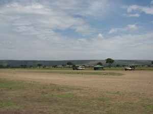 Elephant Pepper International Airport