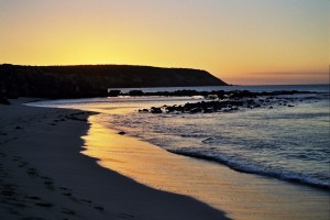 Australia/NZ - Day 15