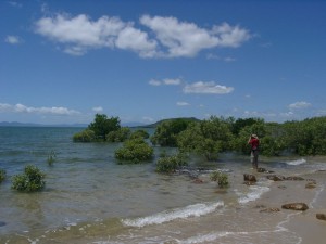 Australia/NZ - Day 25
