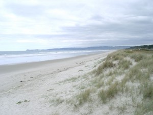 Australia/NZ - Day 30