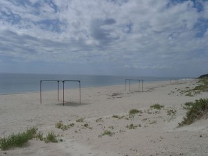 Australia/NZ - Day 8