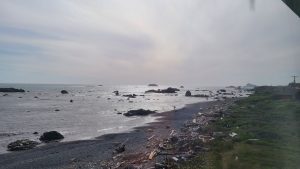 View from the hotel in Crescent City
