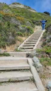 One of multiple sets of serious stairs