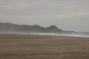 Oregon Coast