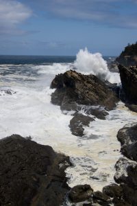 Shore Acres