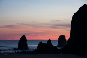img_8919