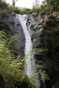 Concord Falls