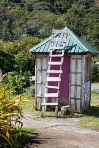 Little shed
