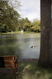 The lake at the college