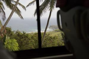 View from the bus