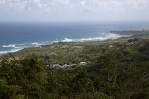 View from the church
