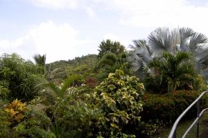 The garden at Stony Hill