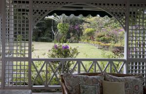The side yard