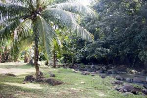 River at the farm