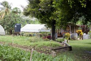 The farm
