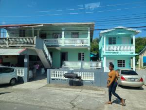 Green and blue houses
