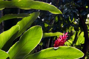 Botanical Garden