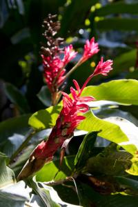 Botanical Garden