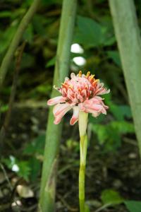 Botanical Garden