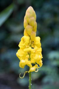 Botanical Garden
