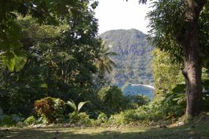 View from the house