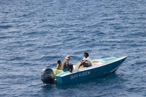 Bay Watch