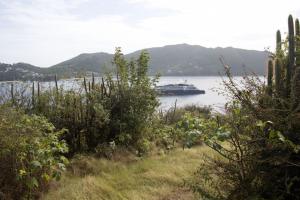 The view from Fort Hamilton