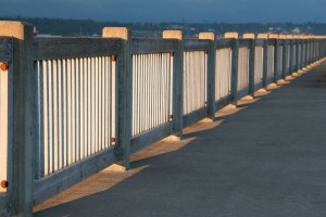 _mg_3355