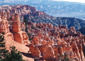 Western US Trip - Day 17