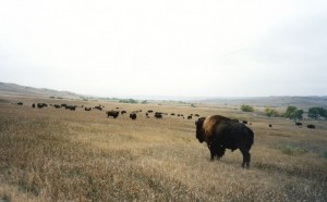 Western US Trip - Day 7